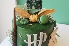 Detská torta Harry Potter